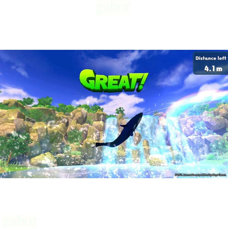 【八米蔚藍】任天堂 NS Switch 釣魚明星 世界巡迴賽 中文版-細節圖2