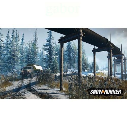 【八米蔚藍】任天堂 NS Switch 雪地奔馳 中文版-細節圖2
