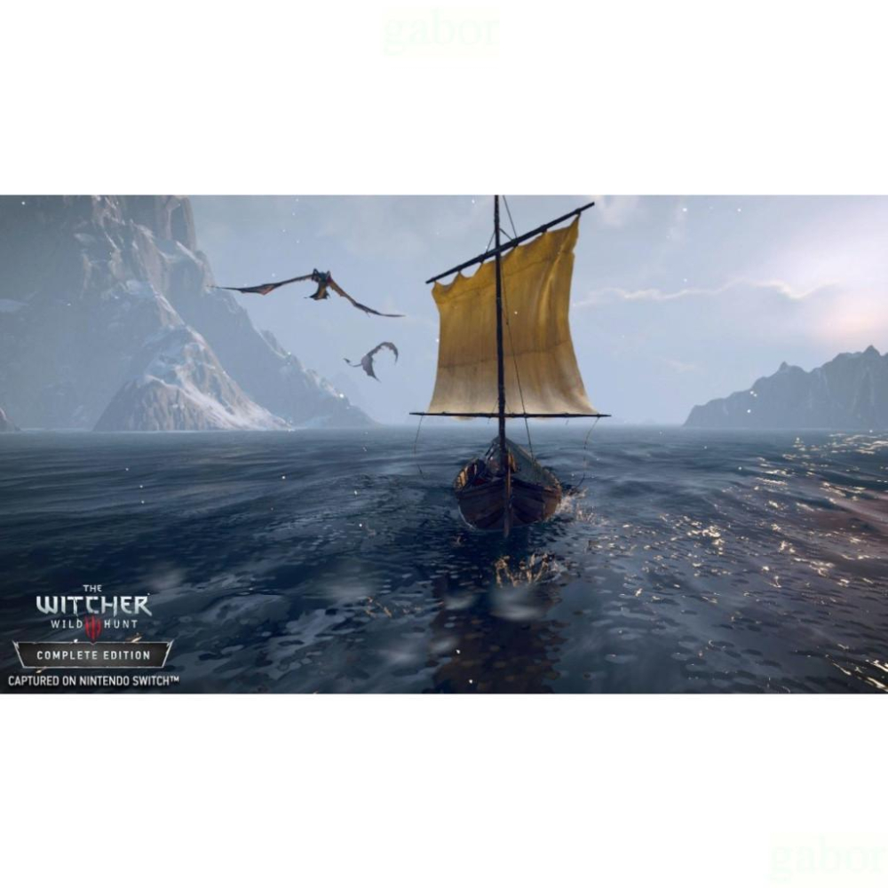 【八米蔚藍】NS Switch 巫師3 狂獵 完全 中文版-細節圖6