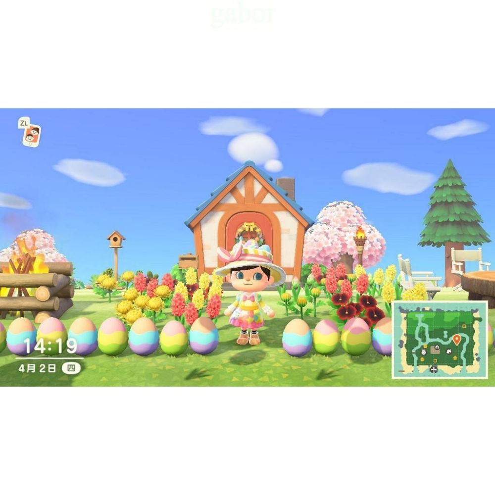 【八米蔚藍】NS Switch 集合啦 動物森友會 動物之森 動森 中文版-細節圖5