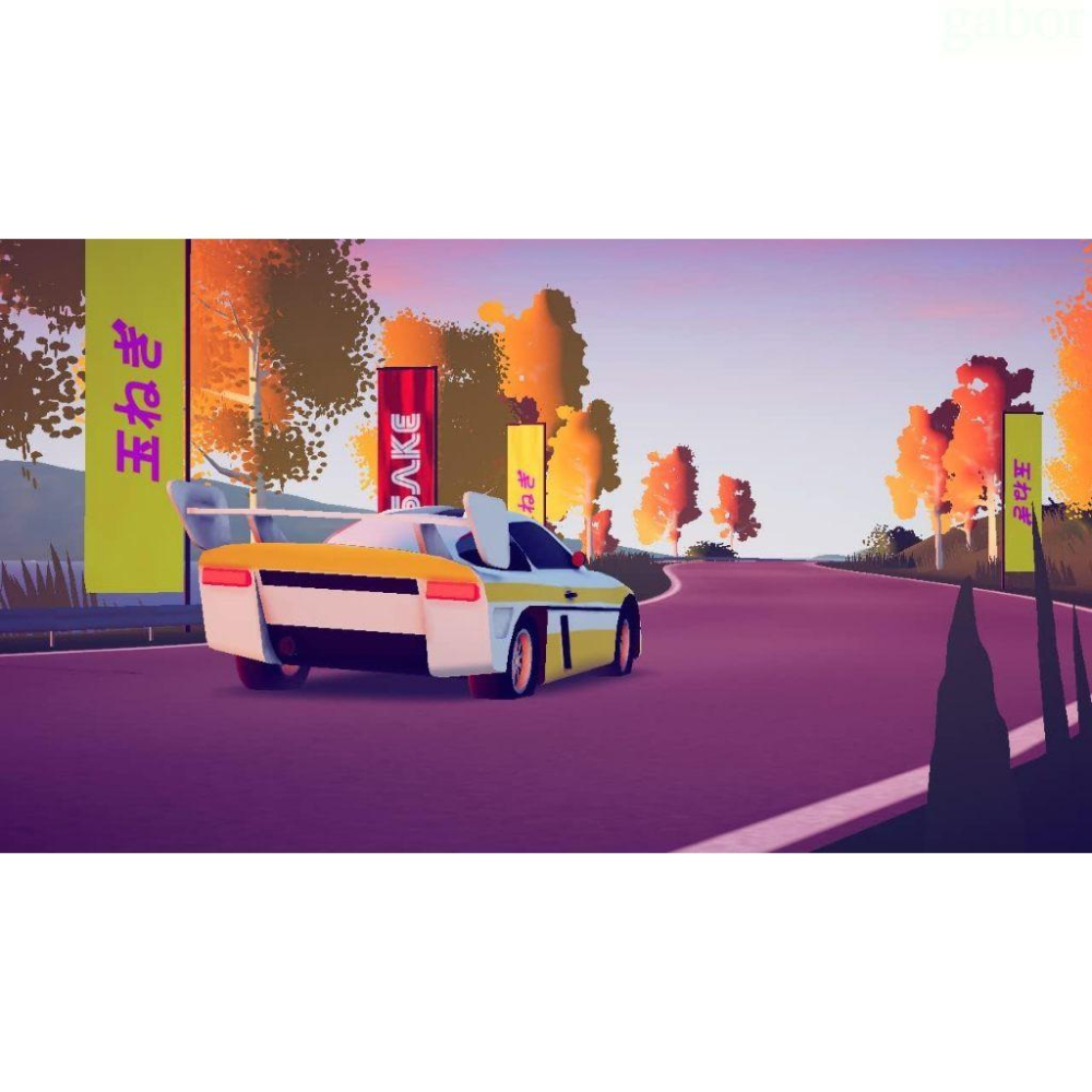 【八米蔚藍】任天堂 NS Switch 越野藝術 豪華版 Art of Rally 中文版-細節圖2