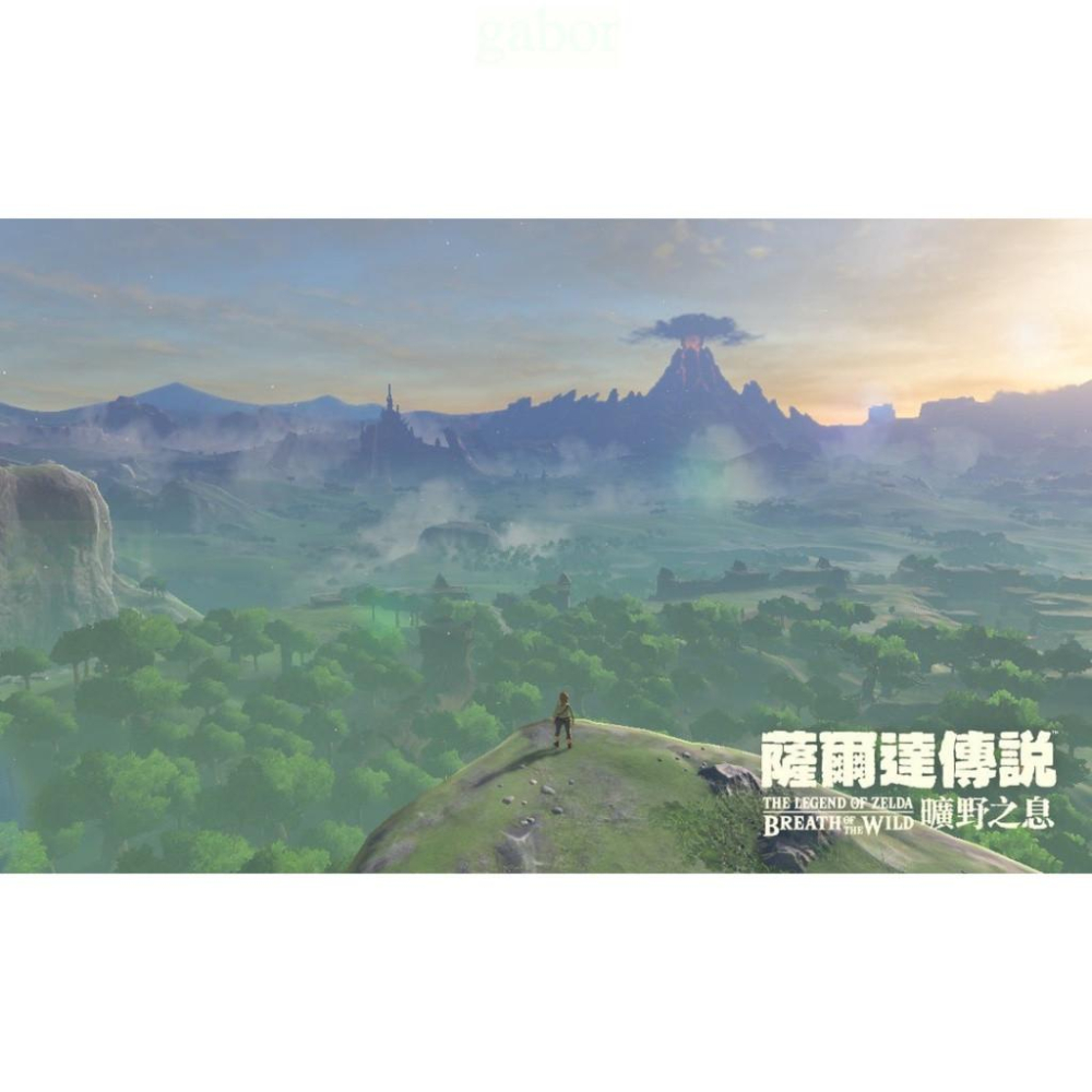 【八米蔚藍】NS Switch 薩爾達傳說 曠野之息 荒野之息 薩爾達曠野之息 擴充票 中文版-細節圖2