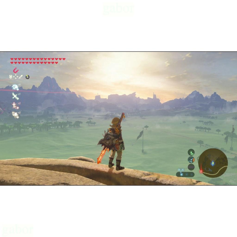 【八米蔚藍】NS Switch 薩爾達傳說 曠野之息 荒野之息 薩爾達曠野之息 擴充票 中文版-細節圖3