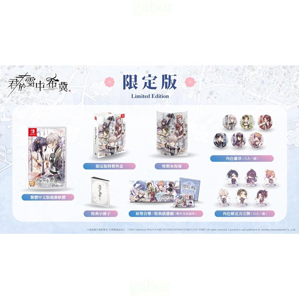【八米蔚藍】任天堂 NS Switch 君於雪中希冀 限定 一般 中文版-細節圖2