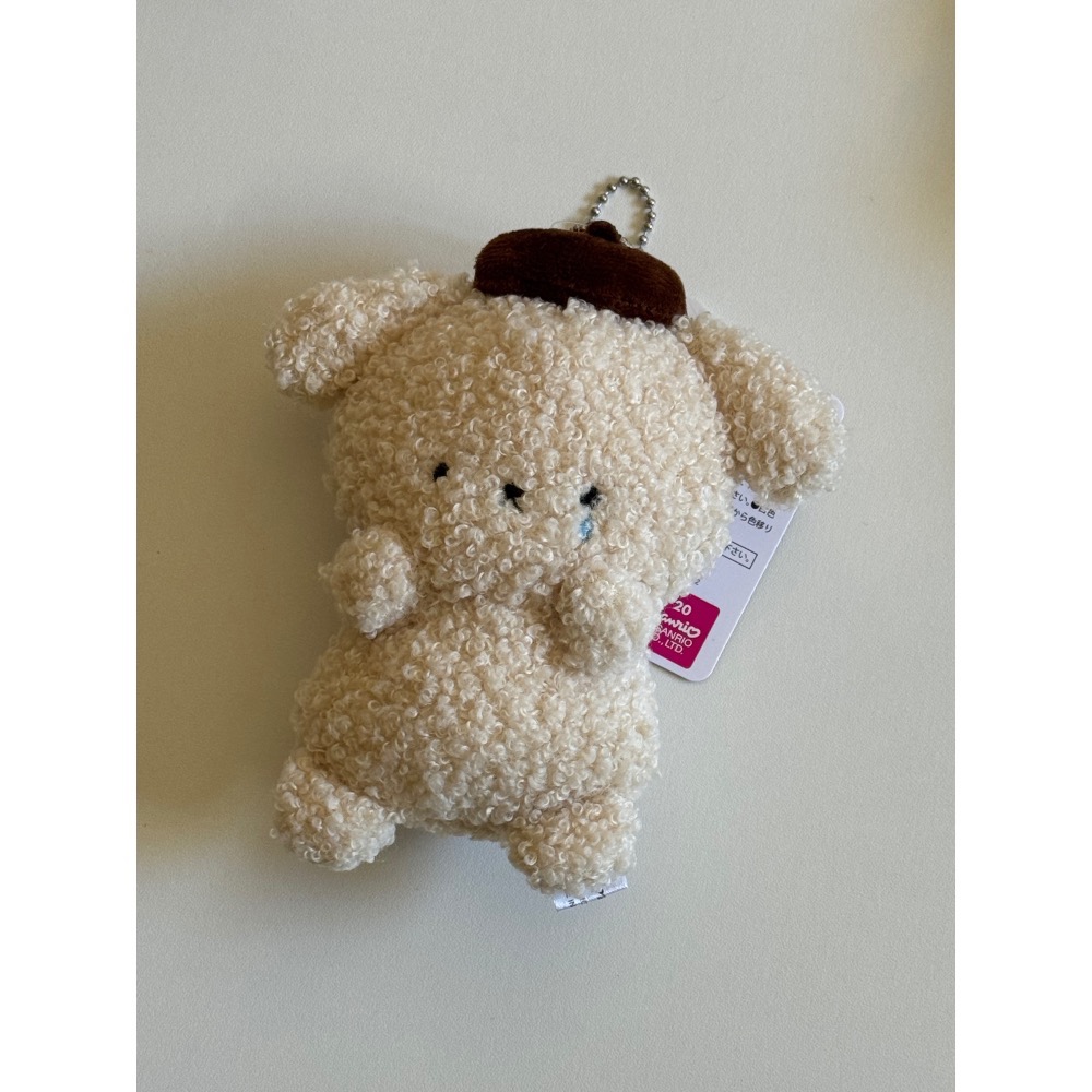 三麗鷗 AS KNOW AS plus聯名 哭哭系列 吊飾別針娃娃 📃📎-細節圖4