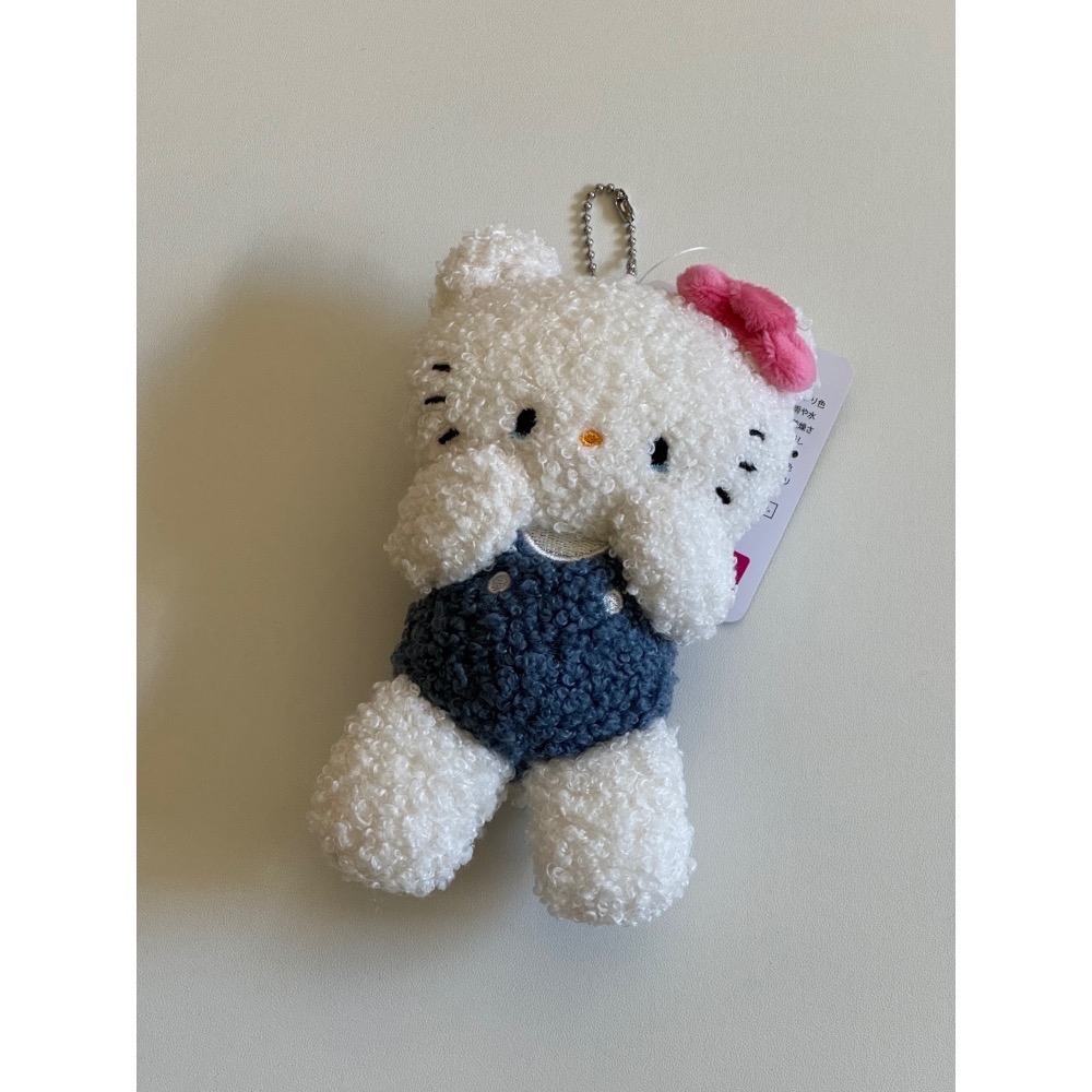 三麗鷗 AS KNOW AS plus聯名 哭哭系列 吊飾別針娃娃 📃📎-細節圖2