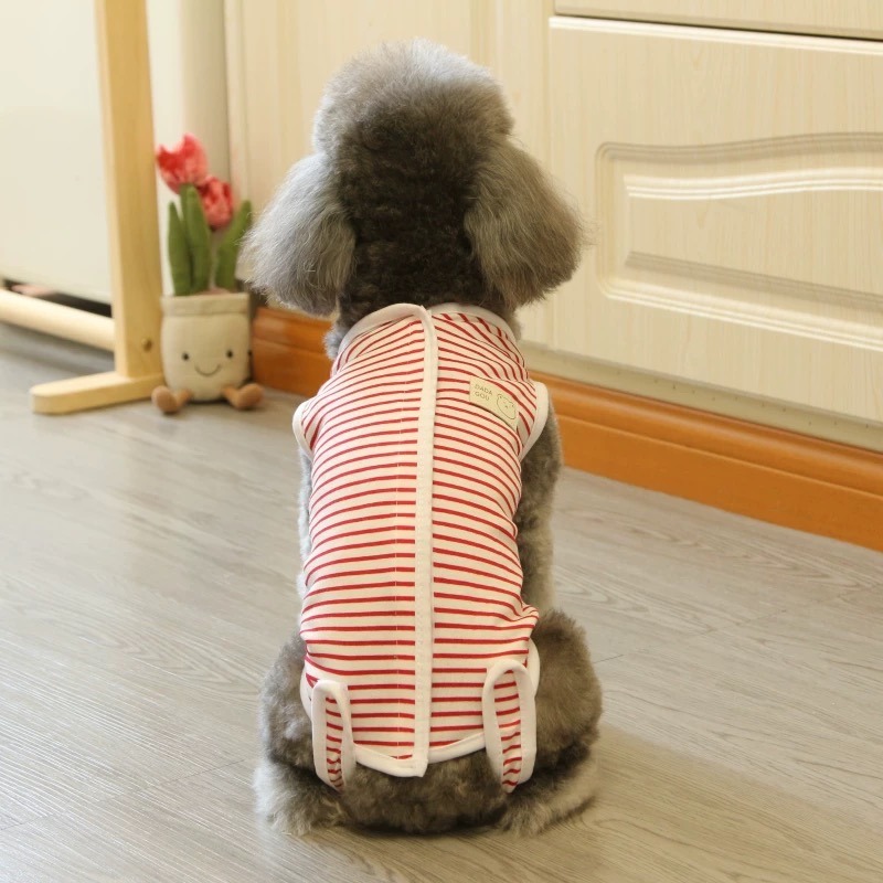 ♡【 L35 預購 】 基礎款條紋/碎花/點點包肚衣包肚背心-細節圖4