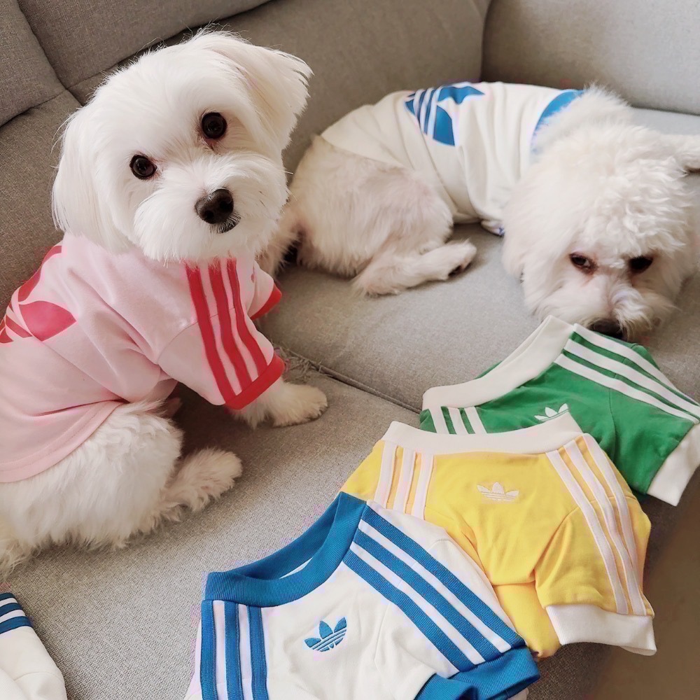 上海安福路寵物系列代購 🇨🇳 非客訂勿下單-細節圖2