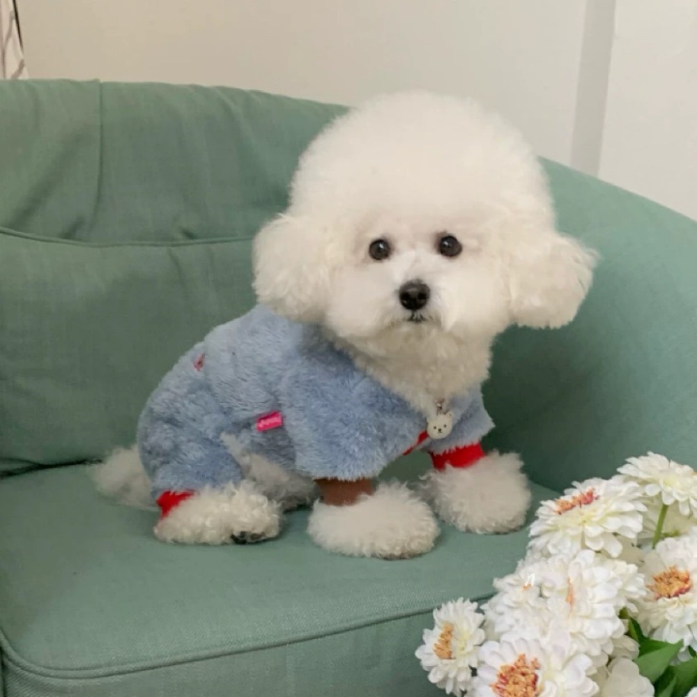 ♡【 H46 預購 】 彩色童趣小熊毛絨絨保暖兩腳衣-細節圖2