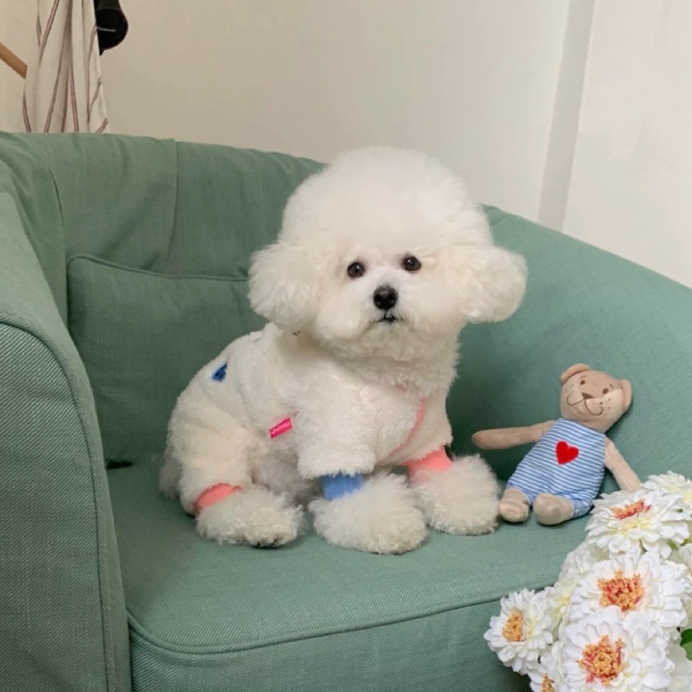 ♡【 H46 預購 】 彩色童趣小熊毛絨絨保暖兩腳衣-細節圖4