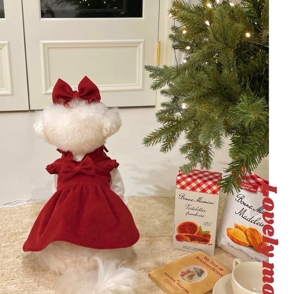 ♡【 J01 預購 】🎀紅色蝴蝶結套裝(白襯衫內搭+紅洋裝+蝴蝶結髮夾)-細節圖4