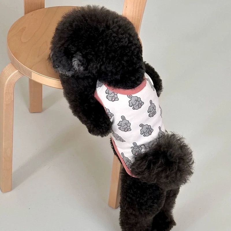 ♡【 L10 預購 】 Hi~~Hi~~小熊小兔撞色滾邊背心-細節圖2