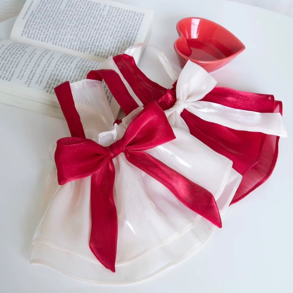 ♡【 J20 預購 】I＇m your gift 美美緞帶紗裙-細節圖2