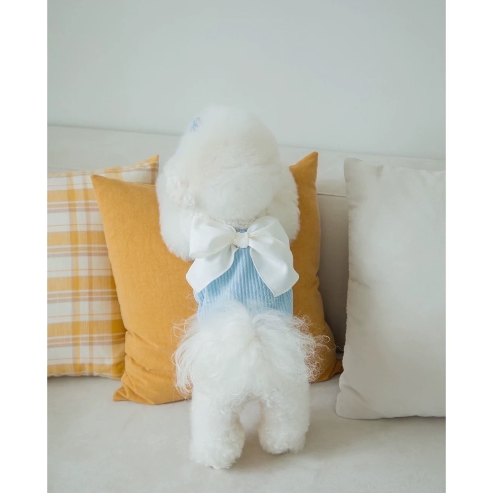 ♡【C30 預購】坑條氣質綁帶小背心 春夏新款 貓狗背心 貓狗夏天 貓咪衣服 狗狗衣服 寵物衣服-細節圖2