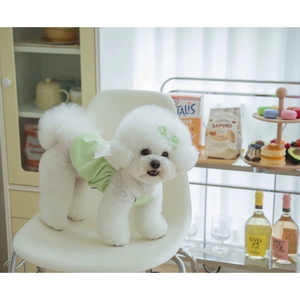 ♡【C30 預購】坑條氣質綁帶小背心 春夏新款 貓狗背心 貓狗夏天 貓咪衣服 狗狗衣服 寵物衣服-細節圖4