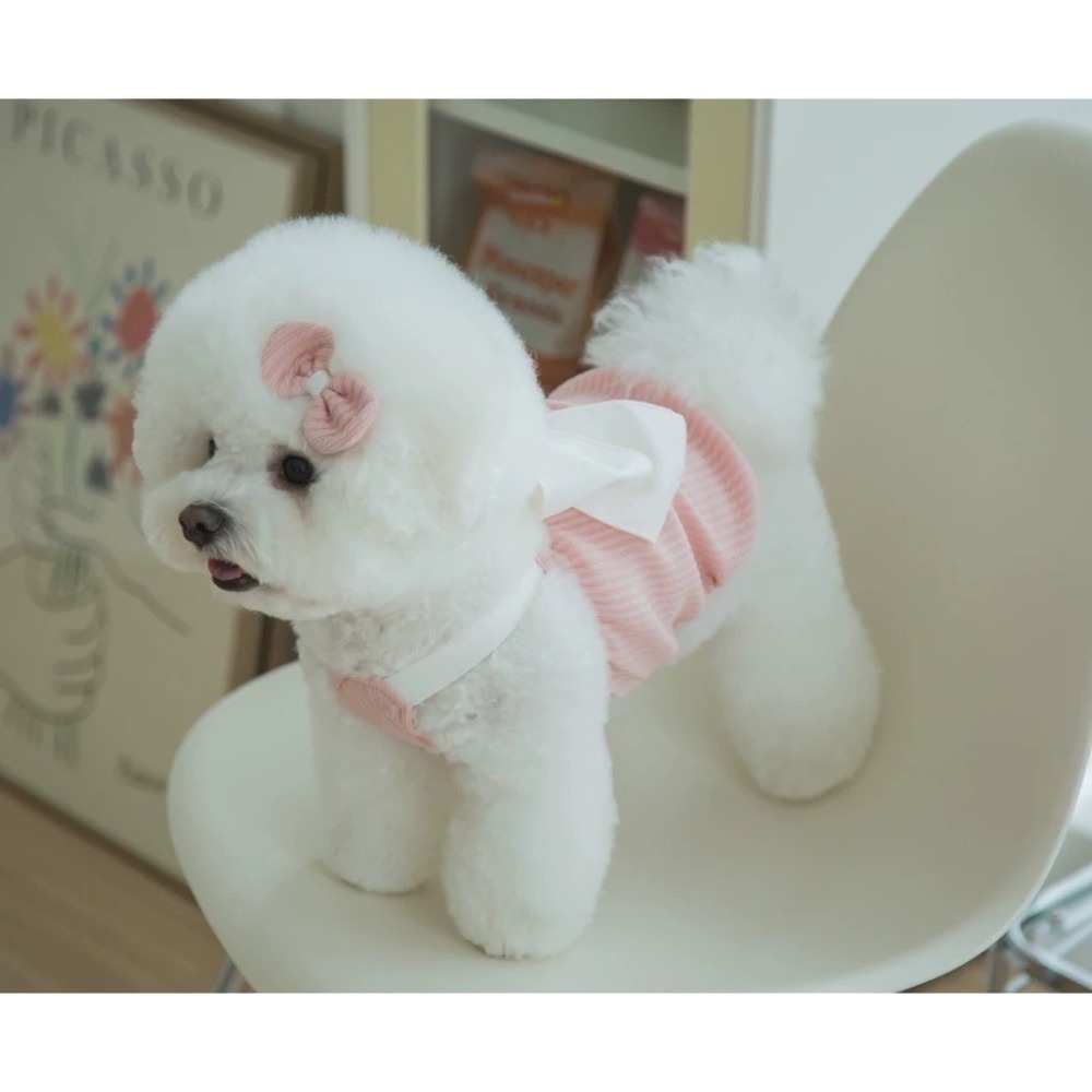 ♡【C30 預購】坑條氣質綁帶小背心 春夏新款 貓狗背心 貓狗夏天 貓咪衣服 狗狗衣服 寵物衣服-細節圖5