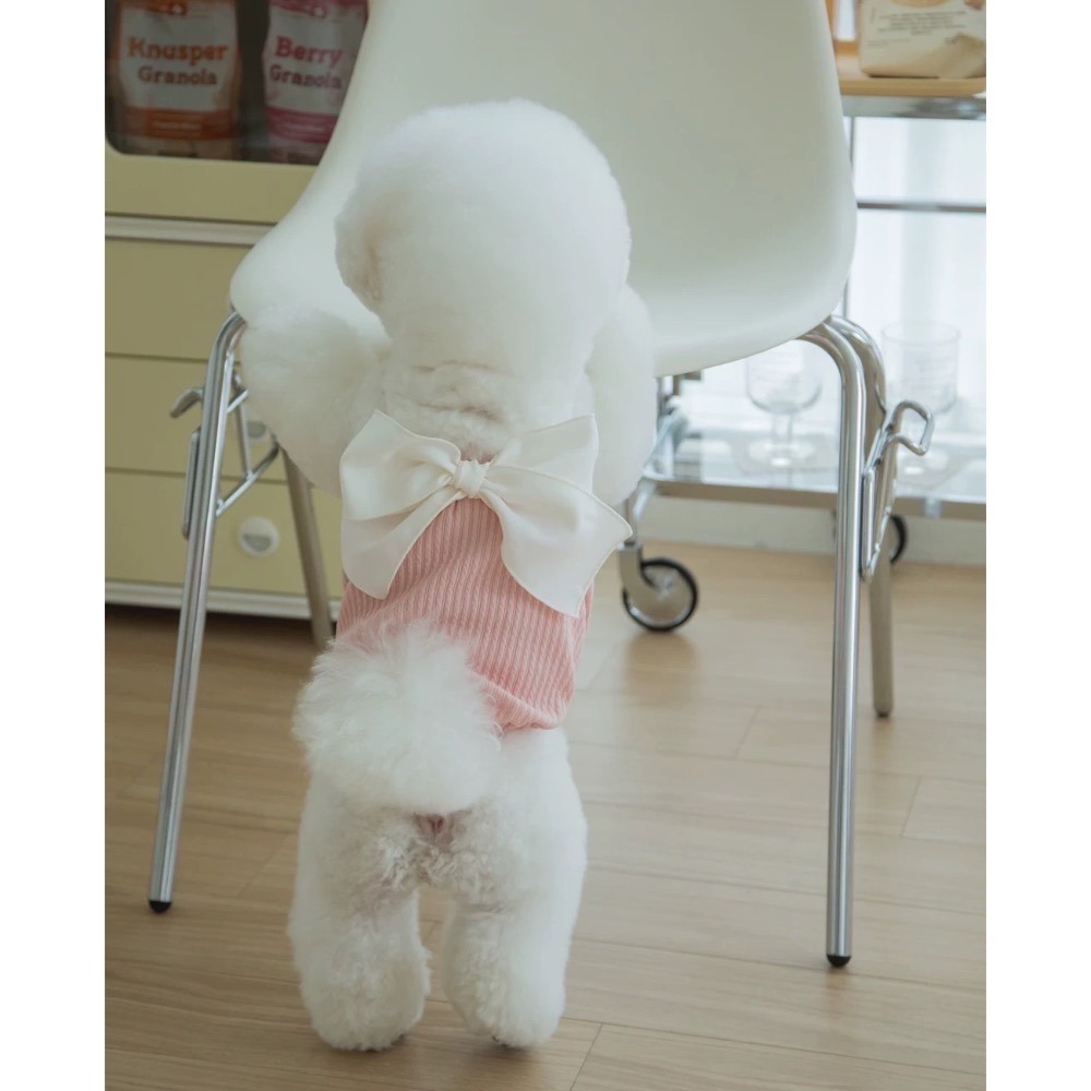 ♡【C30 預購】坑條氣質綁帶小背心 春夏新款 貓狗背心 貓狗夏天 貓咪衣服 狗狗衣服 寵物衣服-細節圖6