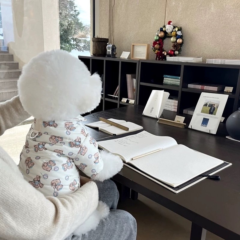 ♡【 K01預購 】滿版泰迪氣球小熊白色防潑水面料鋪棉衣-細節圖3