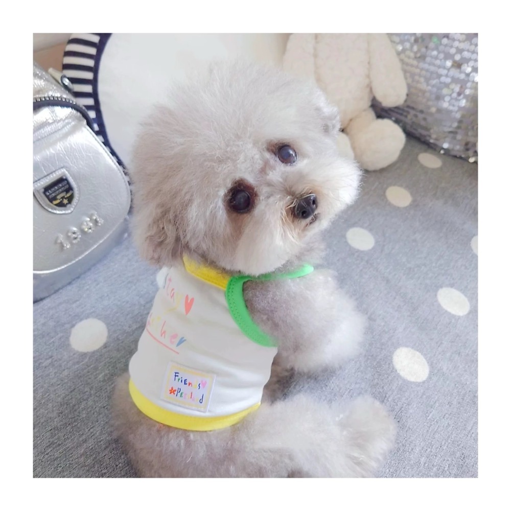 ♡【F26 預購】純棉繽紛字母印花標籤背心 夏季背心 寵物背心 貓咪防掉毛背心 貓咪背心 狗狗夏天-細節圖3