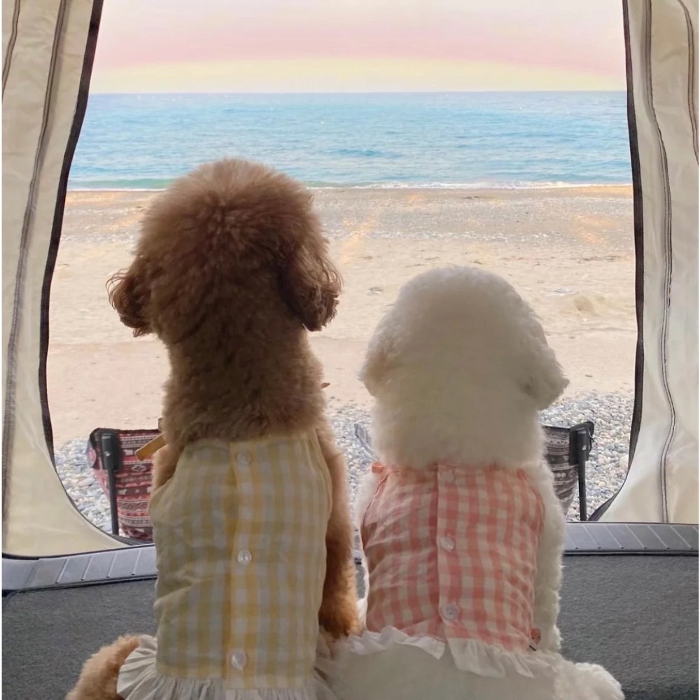 ♡【F32 預購】清新感綁帶排釦蕾絲夏季背心 寵物背心 貓咪防掉毛背心 貓咪背心 狗狗夏天-細節圖3