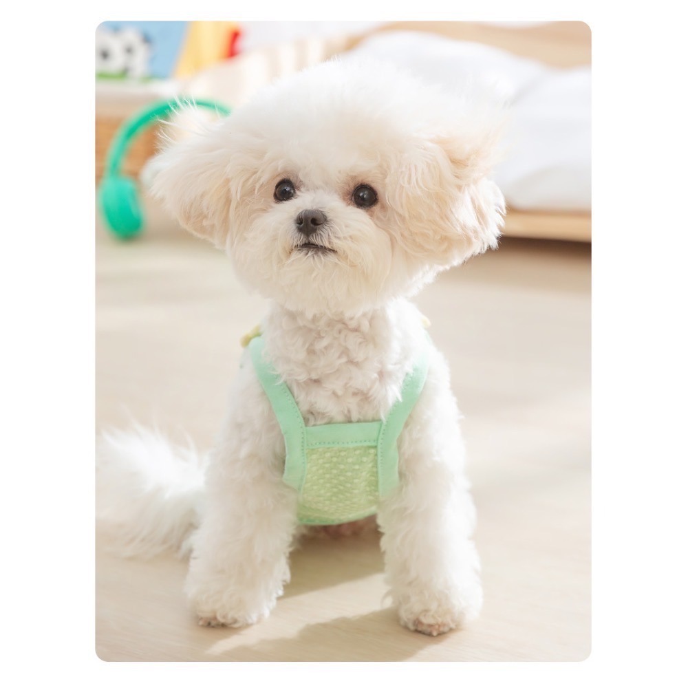 ♡【F35 預購】立體繽紛小花點點背心 夏季背心 寵物背心 貓咪防掉毛背心 防蟲背心 狗狗夏天-細節圖3