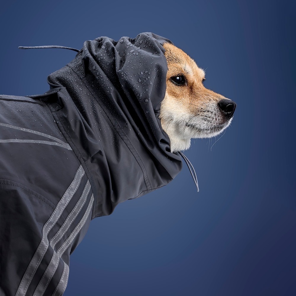 【預購】快速到貨⚡️ adidas originals 愛迪達寵物衣 四腳連身寵物雨衣-細節圖2