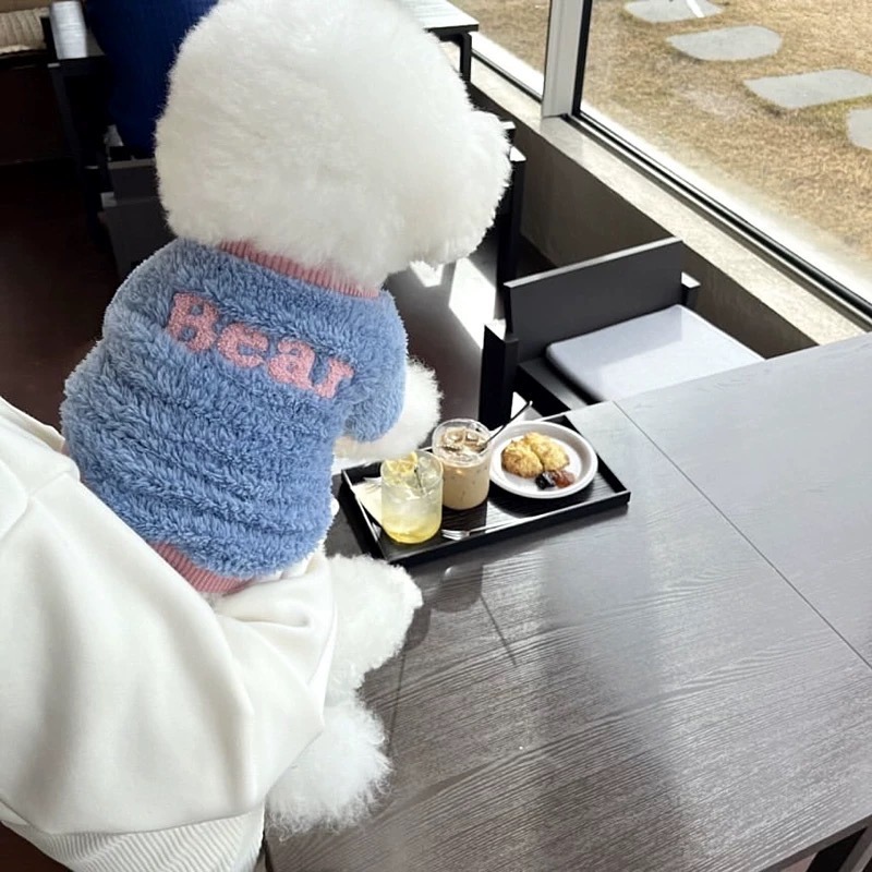 ♡【G36 預購 】 Teddy Bear字母毛絨寵物衣服-細節圖3