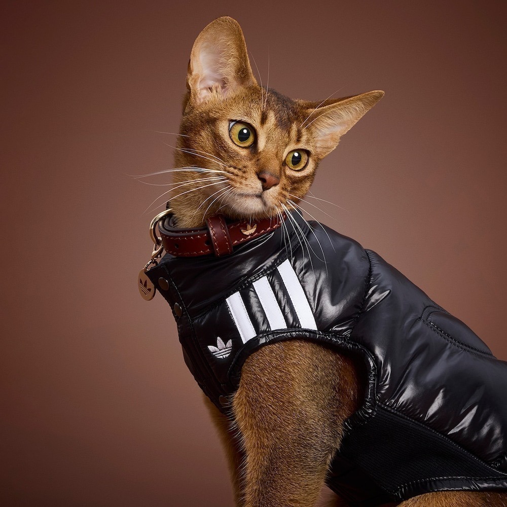 【預購】快速到貨⚡️ adidas originals 愛迪達加厚保暖復古亮面背心-細節圖2