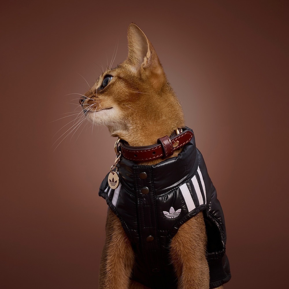 【預購】快速到貨⚡️ adidas originals 愛迪達加厚保暖復古亮面背心-細節圖4