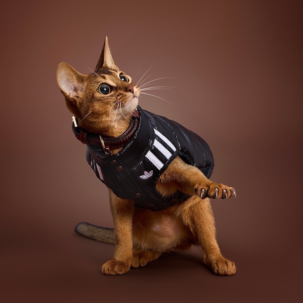 【預購】快速到貨⚡️ adidas originals 愛迪達加厚保暖復古亮面背心-細節圖3