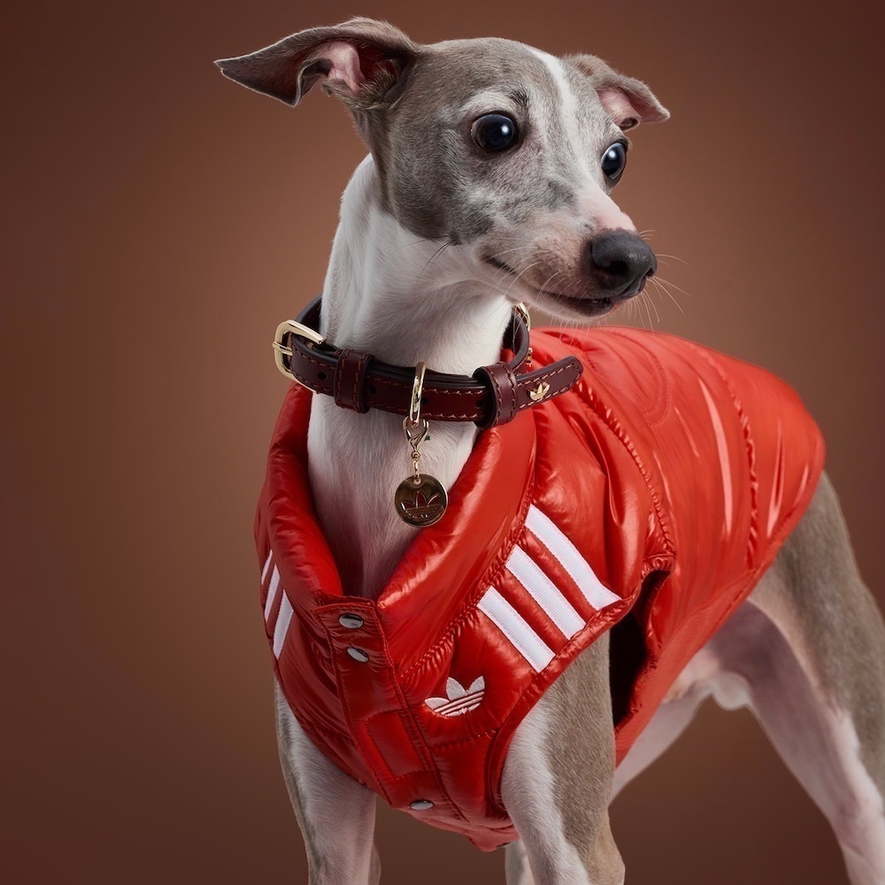 【預購】快速到貨⚡️ adidas originals 愛迪達加厚保暖復古亮面背心-細節圖9