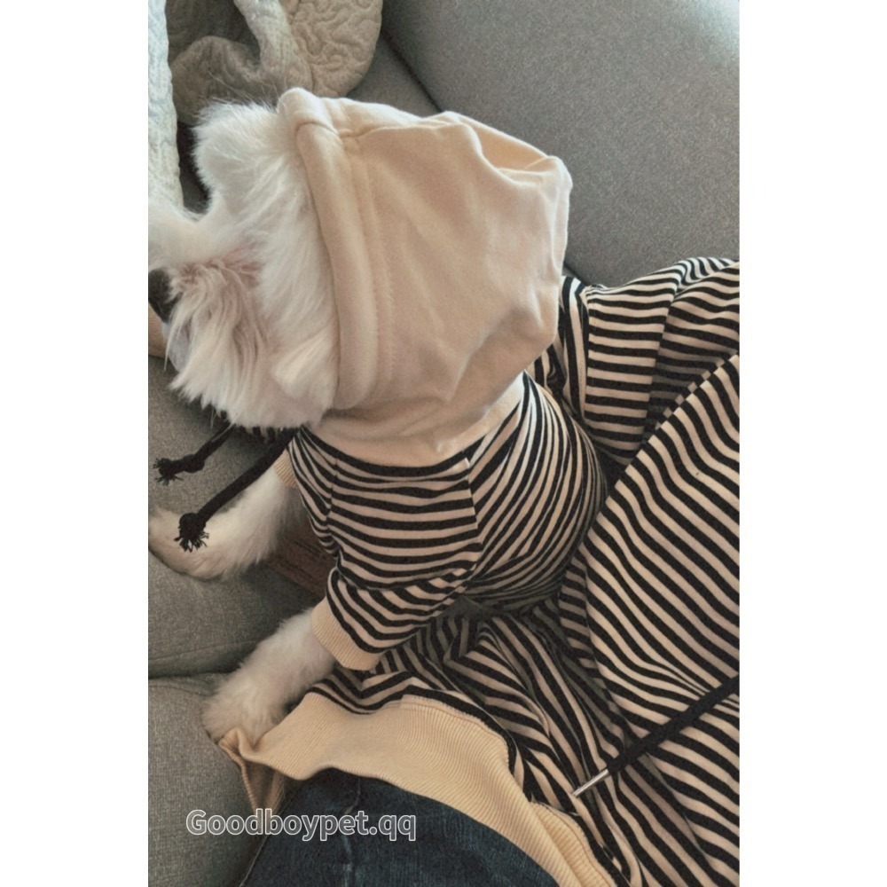 ♡【 H01 預購 】細條紋杏色連帽親子裝寵物衣服 可穿至大狗.ᐟ.ᐟ.ᐟ ⋆-細節圖2