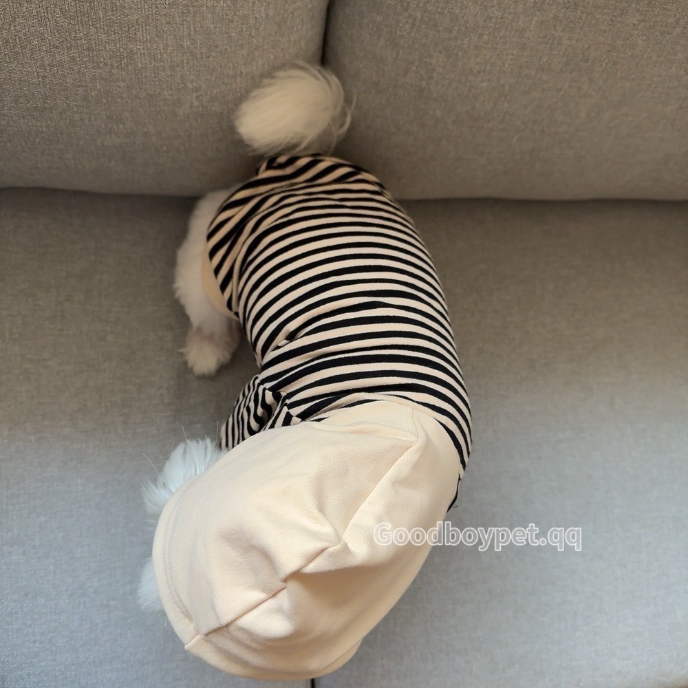 ♡【 H01 預購 】細條紋杏色連帽親子裝寵物衣服 可穿至大狗.ᐟ.ᐟ.ᐟ ⋆-細節圖3