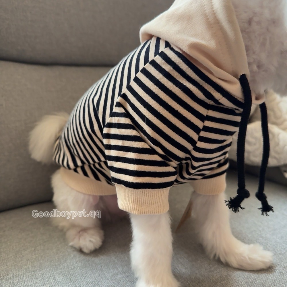 ♡【 H01 預購 】細條紋杏色連帽親子裝寵物衣服 可穿至大狗.ᐟ.ᐟ.ᐟ ⋆-細節圖4