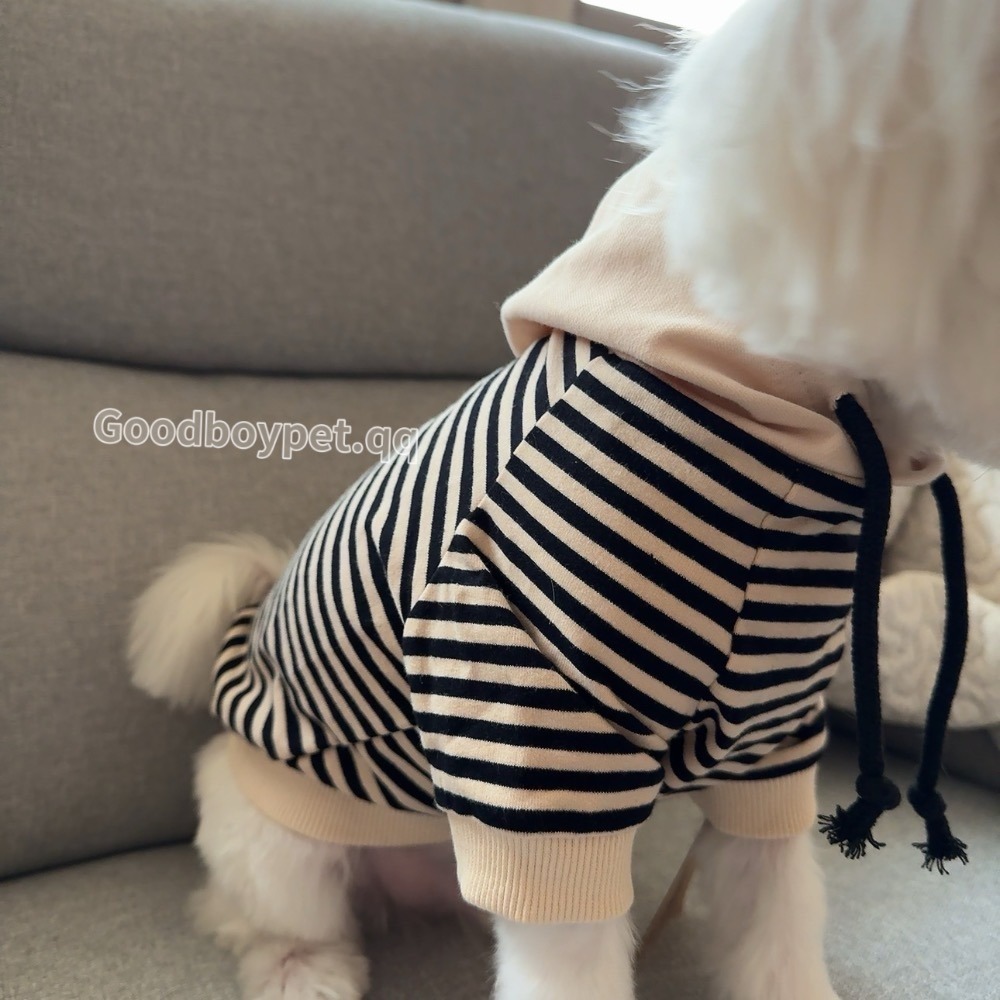 ♡【 H01 預購 】細條紋杏色連帽親子裝寵物衣服 可穿至大狗.ᐟ.ᐟ.ᐟ ⋆-細節圖5