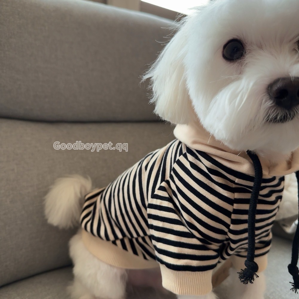 ♡【 H01 預購 】細條紋杏色連帽親子裝寵物衣服 可穿至大狗.ᐟ.ᐟ.ᐟ ⋆-細節圖6
