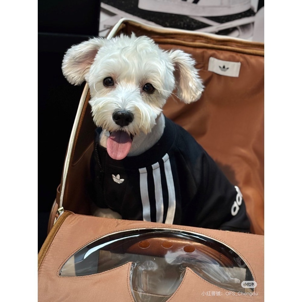 【預購】快速到貨⚡️ adidas originals 愛迪達寵物衣 愛迪達拉鏈運動外套-細節圖4