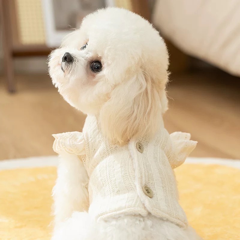 ♡【 H12 預購 】氣質米杏蕾絲飛袖蝴蝶結木釦日系寵物衣-細節圖3