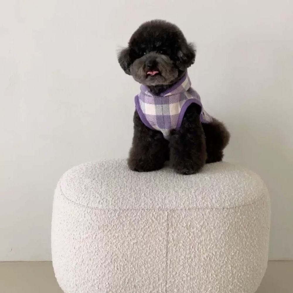 ♡【H16 現貨+預購 】經典格子滾邊寵物斗篷 兩款不同-細節圖5