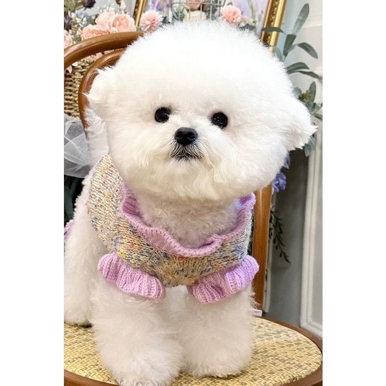 ♡【 K13 預購 】  花苞領彩點針織立體花朵毛線衣-細節圖2