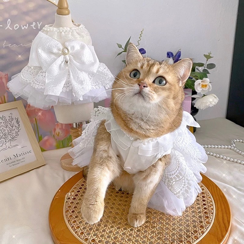 ♡【 K15 預購 】 輕婚紗系列寵物小洋裝-細節圖2