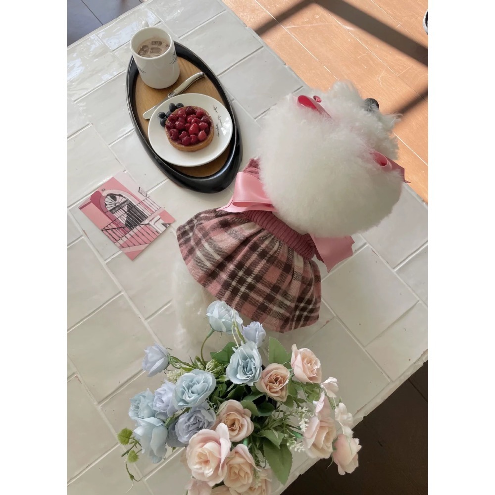 ♡【 K23 預購 】 蘇格蘭格紋韓系公主風毛呢裙-細節圖2