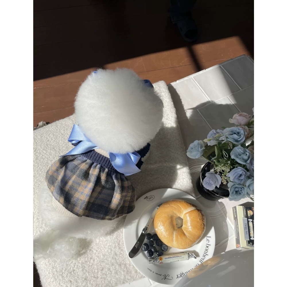 ♡【 K23 預購 】 蘇格蘭格紋韓系公主風毛呢裙-細節圖3