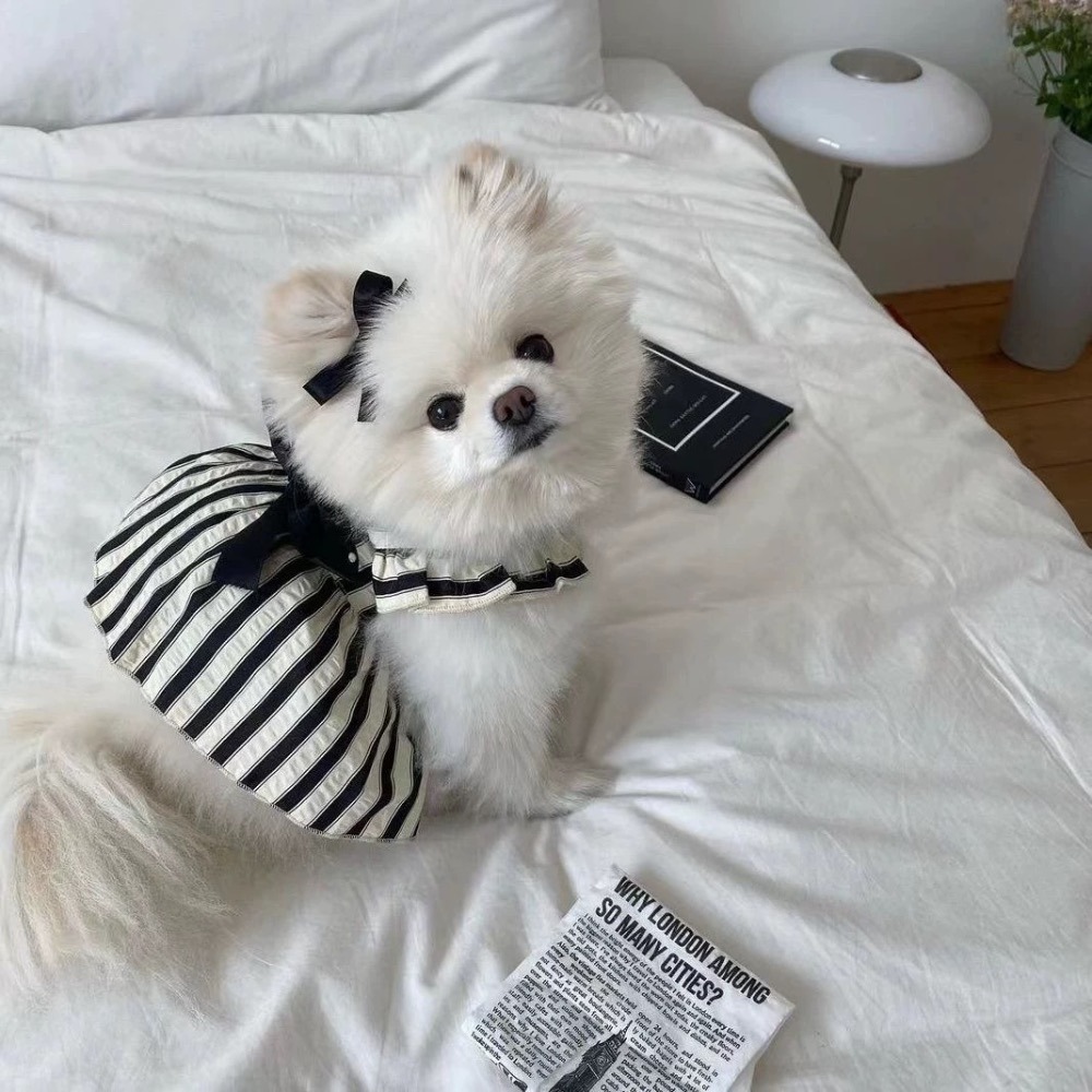 ♡【 K37 預購 】 法式浪漫黑白條紋蝴蝶結緞帶裙-細節圖2