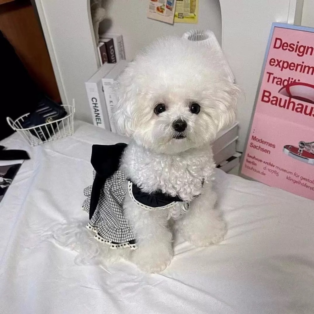 ♡【 K38 預購 】 黑白格子蕾絲裙-細節圖2