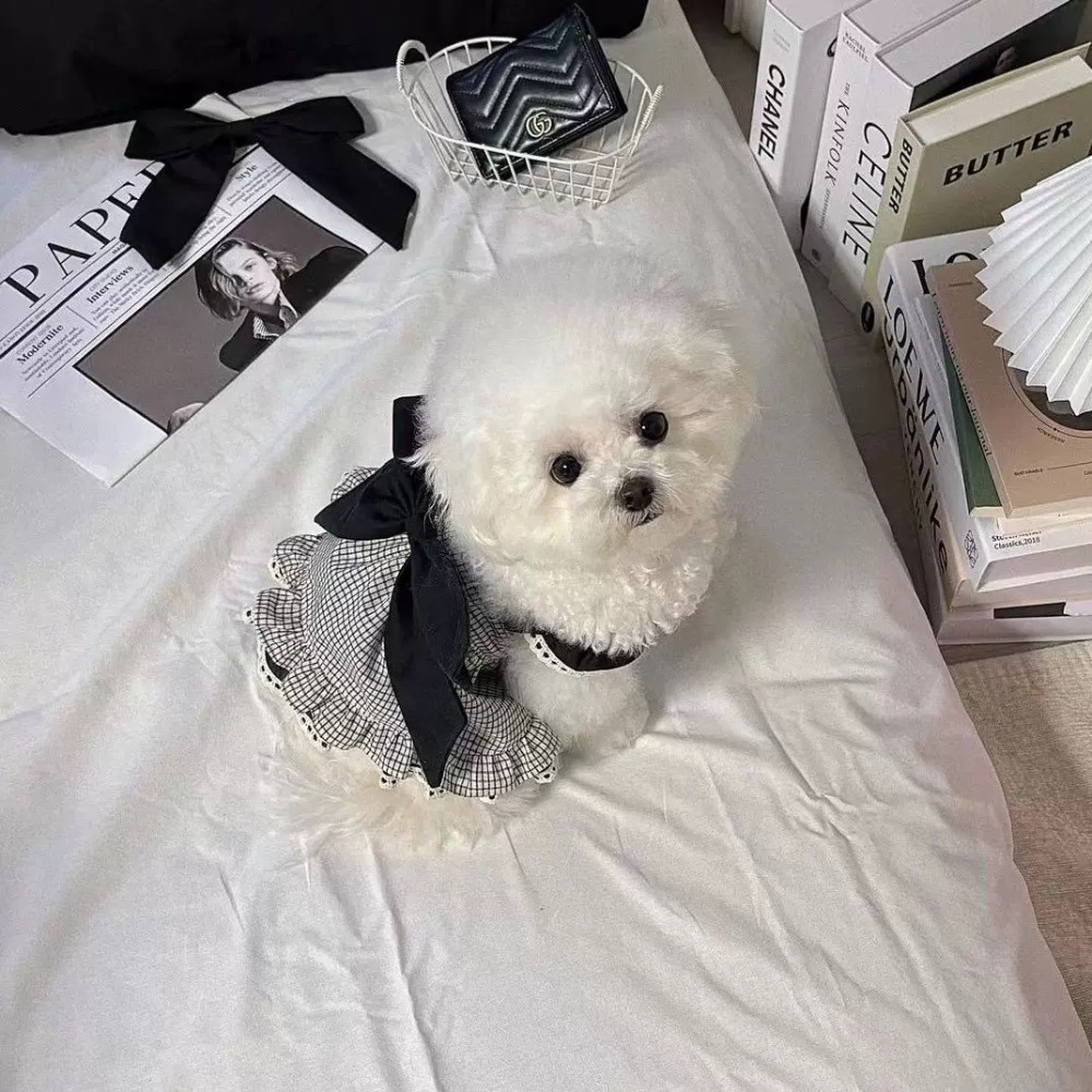 ♡【 K38 預購 】 黑白格子蕾絲裙-細節圖3