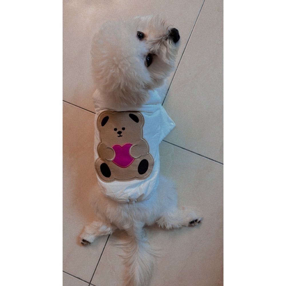 ♡【 K42 預購 】 愛心小熊防潑水面料保暖背心 法鬥友善款-細節圖6