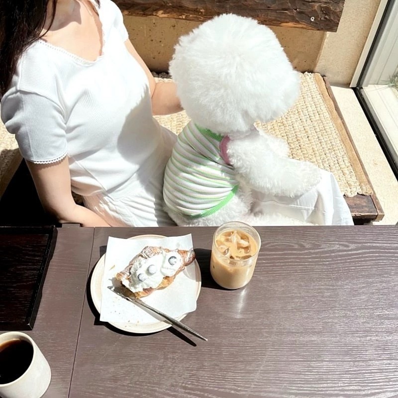 ♡【 L04 預購 】  夏日多彩短版針織彩釦背心-細節圖2