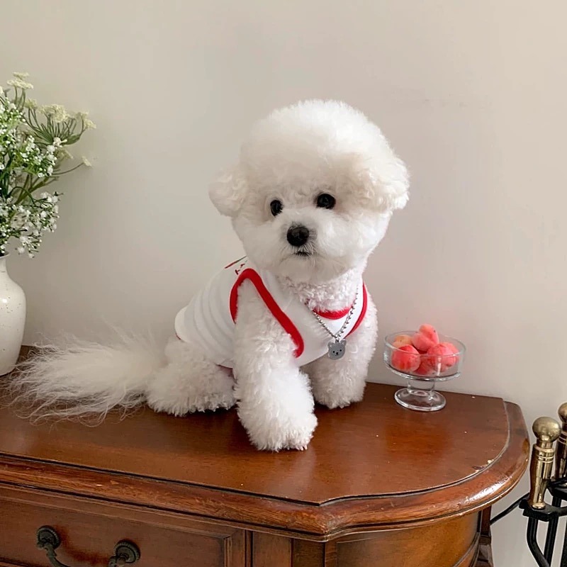 ♡【 L06 預購 】限時特價！🍄菇菇寶/🍓草莓寶包/🍋檸檬寶包純棉背心-細節圖4