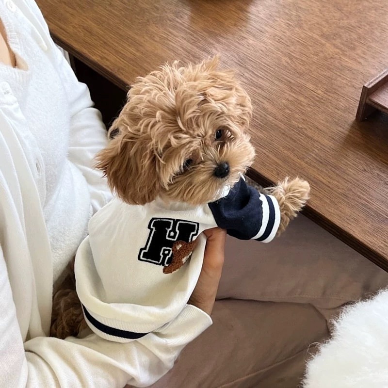 ♡【 L07 預購 】  字母H小熊棒球裝-細節圖3